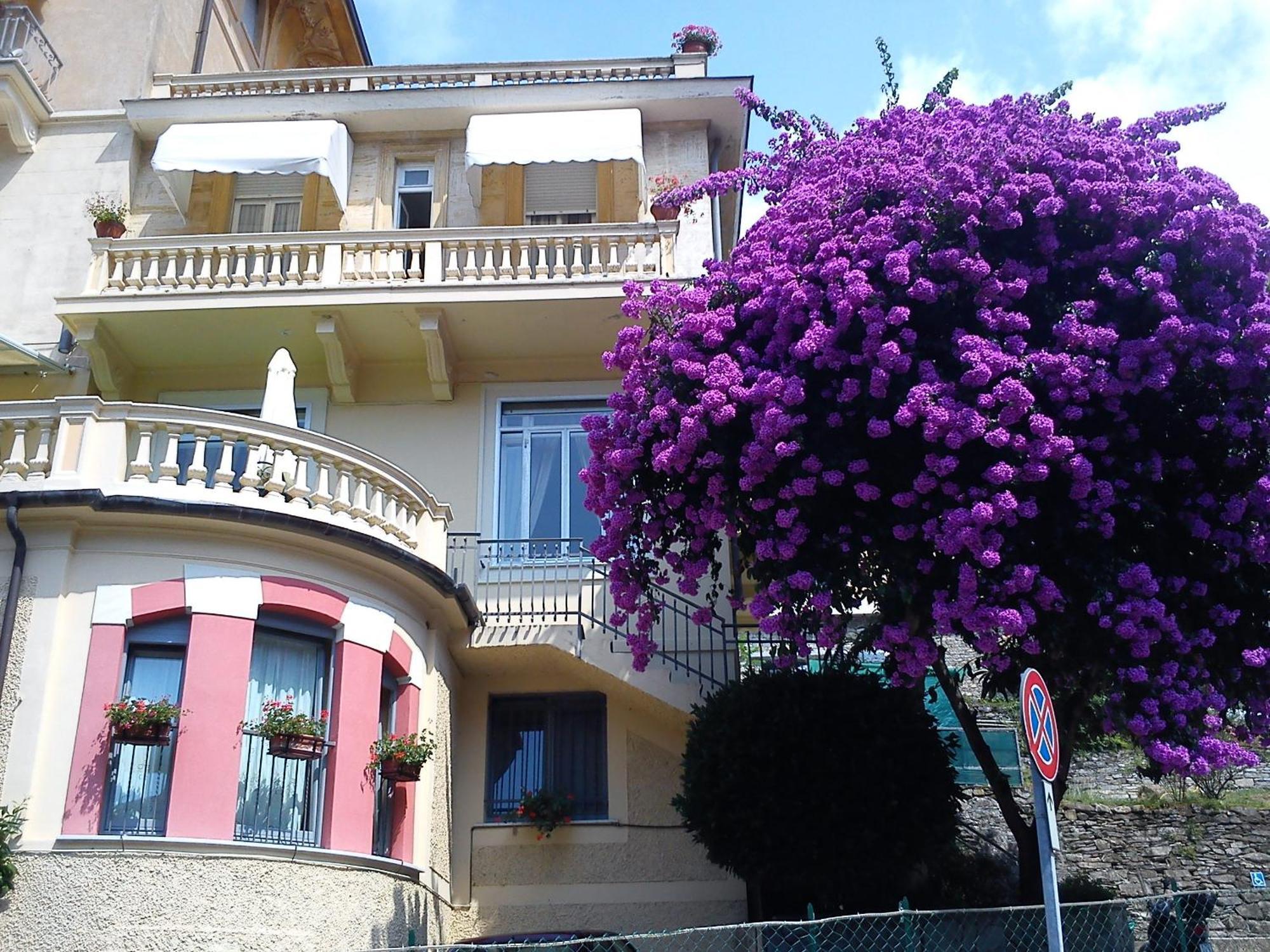 Hotel Canali, Portofino Coast Rapallo Exterior photo