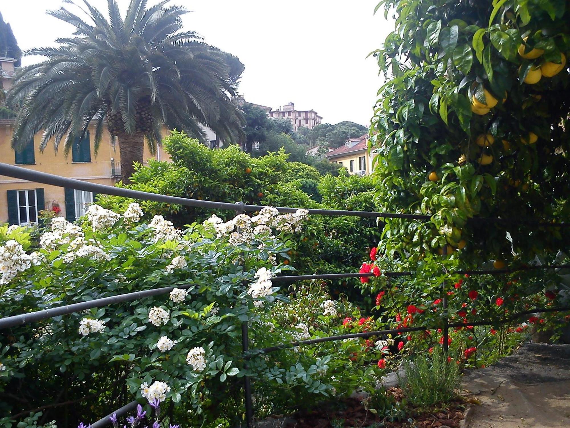 Hotel Canali, Portofino Coast Rapallo Exterior photo